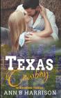 Texas Cowboy - Preview