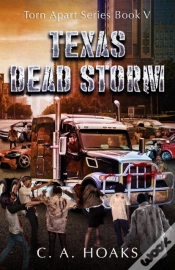 Capa do artigo Texas Dead Storm