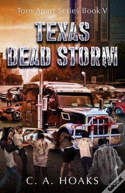 Capa do artigo Texas Dead Storm