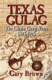 Capa do artigo Texas Gulag