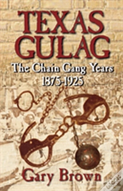 Capa do artigo Texas Gulag