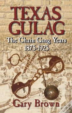 Capa do artigo Texas Gulag