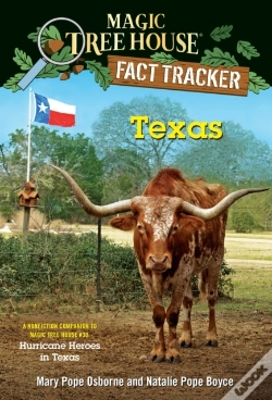 Capa do artigo Texas