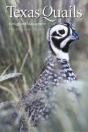 Texas Quails - Preview