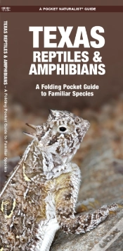 Capa do artigo Texas Reptiles & Amphibians