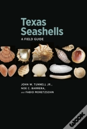 Texas Seashells