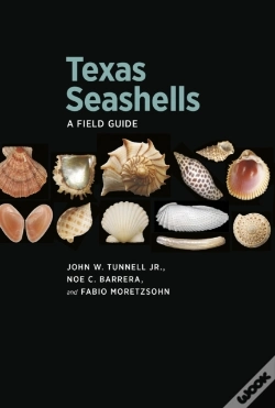 Capa do artigo Texas Seashells