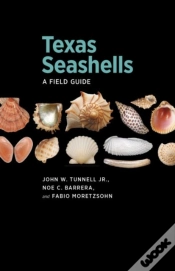 Capa do artigo Texas Seashells