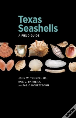 Capa do artigo Texas Seashells