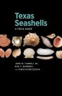 Texas Seashells - Preview