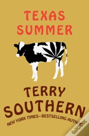 Capa do artigo Texas Summer