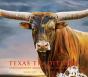 Texas Traditions - Preview