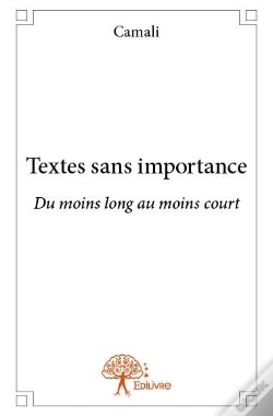 Capa do artigo Textes Sans Importance
