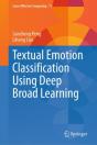 Textual Emotion Classification Using Deep Broad Learning - Preview