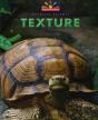 Texture - Preview
