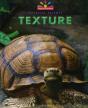 Texture - Preview