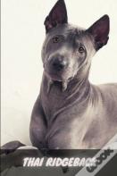 Thai Ridgeback