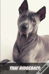 Thai Ridgeback