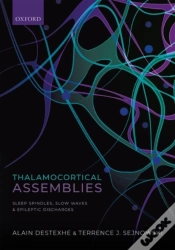 Capa do artigo Thalamocortical Assemblies