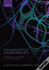 Thalamocortical Assemblies