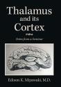 Thalamus And Its Cortex - Preview