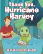 Thank You, Hurricane Harvey - Preview