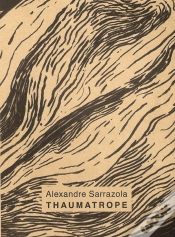 Capa do artigo Thaumatrope
