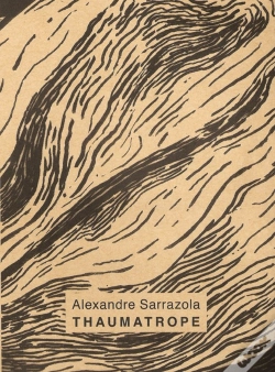 Capa do artigo Thaumatrope