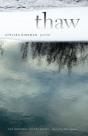 Thaw - Preview
