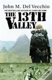 Capa do artigo The 13th Valley