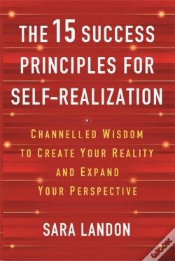 Capa do artigo The 15 Success Principles For Self-Realization