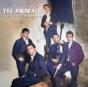 The 1964-67 Broadcasts - CD - Preview