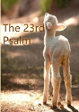 The 23rd Psalm - Preview