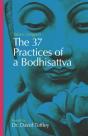 The 37 Practices Of A Bodhisattva - Preview