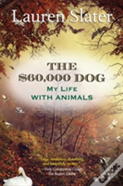 Capa do artigo The $60,000 Dog