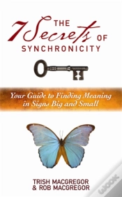 Capa do artigo The 7 Secrets Of Synchronicity