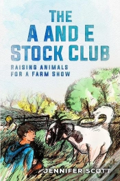 Capa do artigo The A And E Stock Club