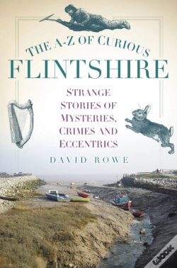 Capa do artigo The A-Z Of Curious Flintshire
