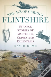 Capa do artigo The A-Z Of Curious Flintshire