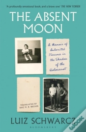 Capa do artigo The Absent Moon