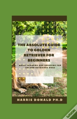 Capa do artigo The Absolute Guide To Golden Retriever For Beginners