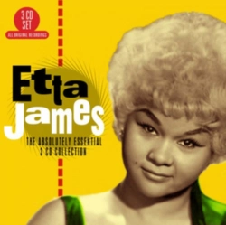 Capa do artigo The Absolutely Essential Collection - CD