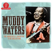 Capa do artigo The Absolutely Essential Collection - CD