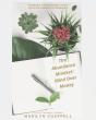 The Abundance Mindset - Preview