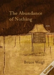 Capa do artigo The Abundance Of Nothing