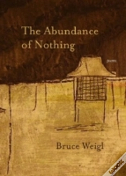 Capa do artigo The Abundance Of Nothing