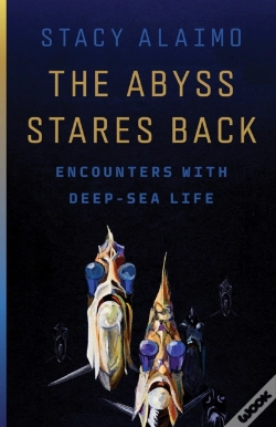Capa do artigo The Abyss Stares Back