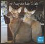The Abyssinian Cats Calendar 2022 - Preview