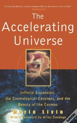 Capa do artigo The Accelerating Universe