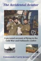 The Accidental Aviator